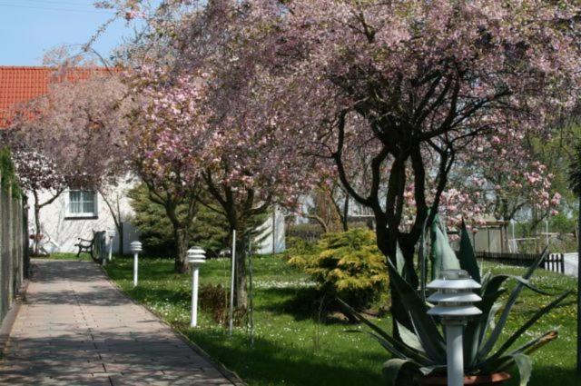Familienhotel Zur Linde Panschwitz-Kuckau Bagian luar foto